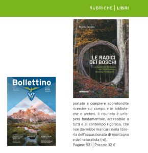 "Le radici dei boschi", Bollettino SAT n. 2 - 2020
